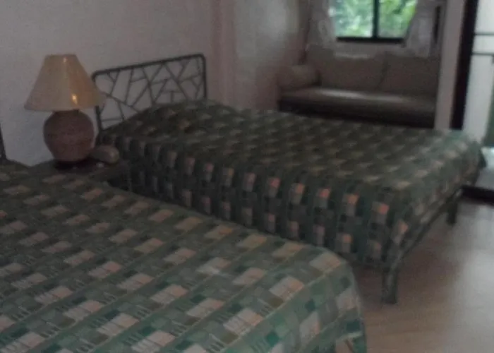 Harmony House Chiang Mai